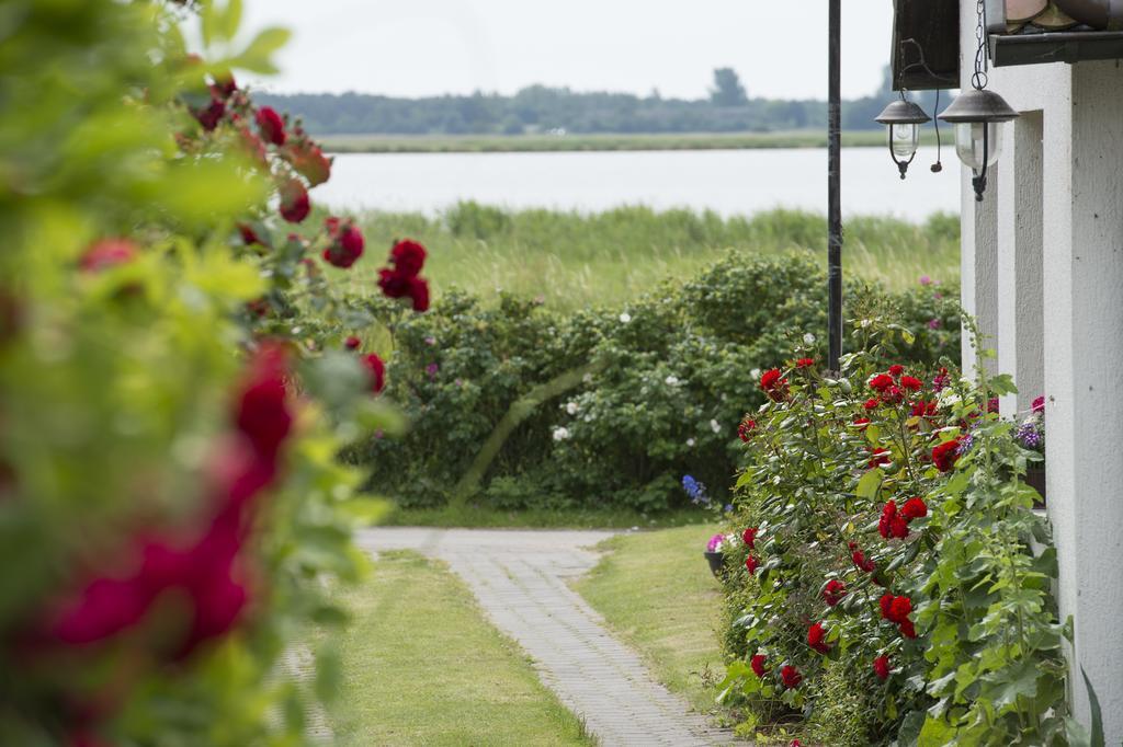 Pension Deichgraf Middelhagen Eksteriør billede